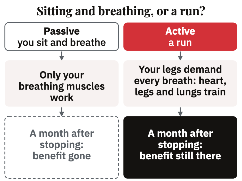 Sitting and breathing works only the breathing muscles, and its benefit was gone a month after stopping; on a run the legs demand every breath, and the benefit stayed.