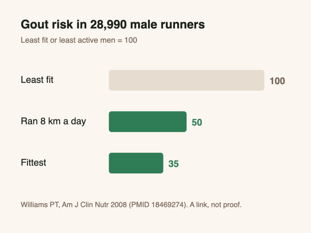 Bar chart: gout risk 100 for the least fit men, 50 for men who ran 8 km a day, 35 for the fittest (Williams 2008).