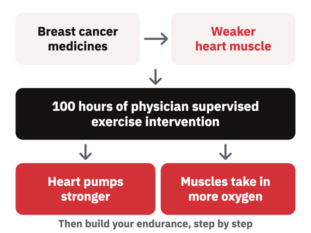 Diagram. Breast cancer medicines lead to a weaker heart. Then 100 hours of physician supervised exercise intervention make the heart pump stronger and the muscles take in more oxygen.