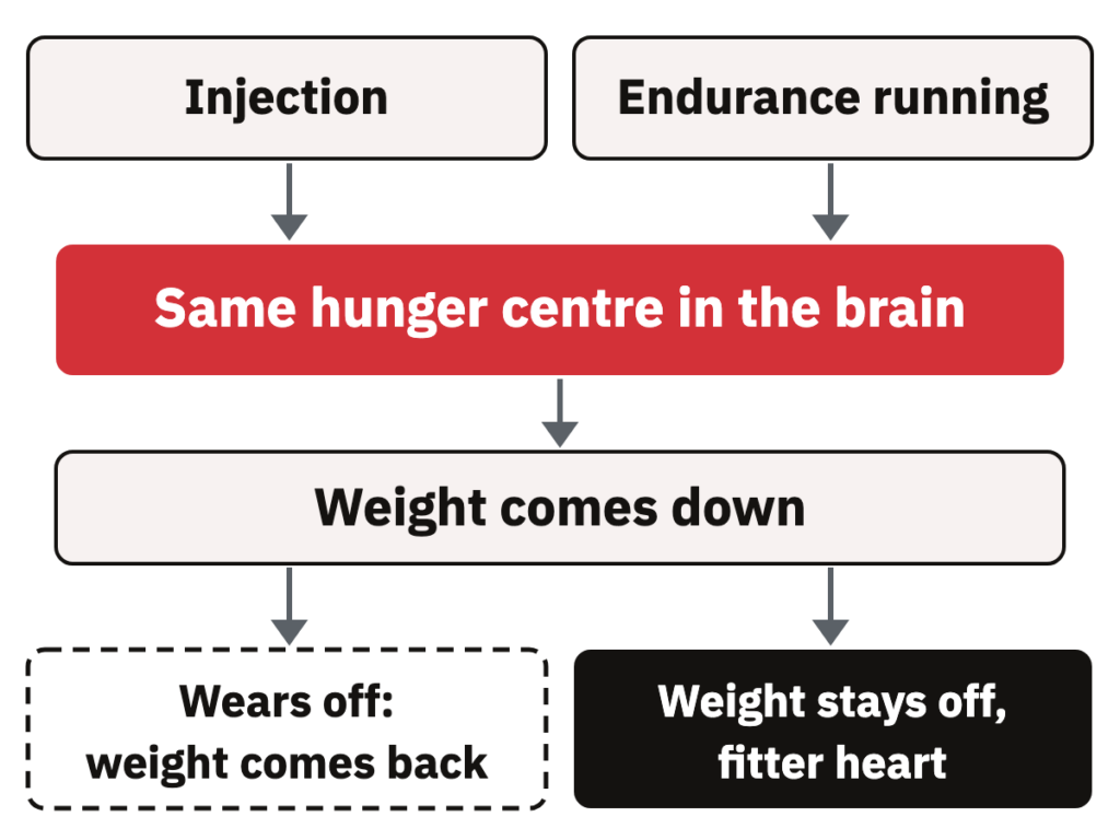Diagram: an injection and endurance running both reach the brain's hunger centre and lower weight; the injection ends with weight coming back, running with weight kept off.